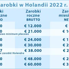 Kalkulator wynagrodzeń Holandia - Oblicz swoje zarobki netto